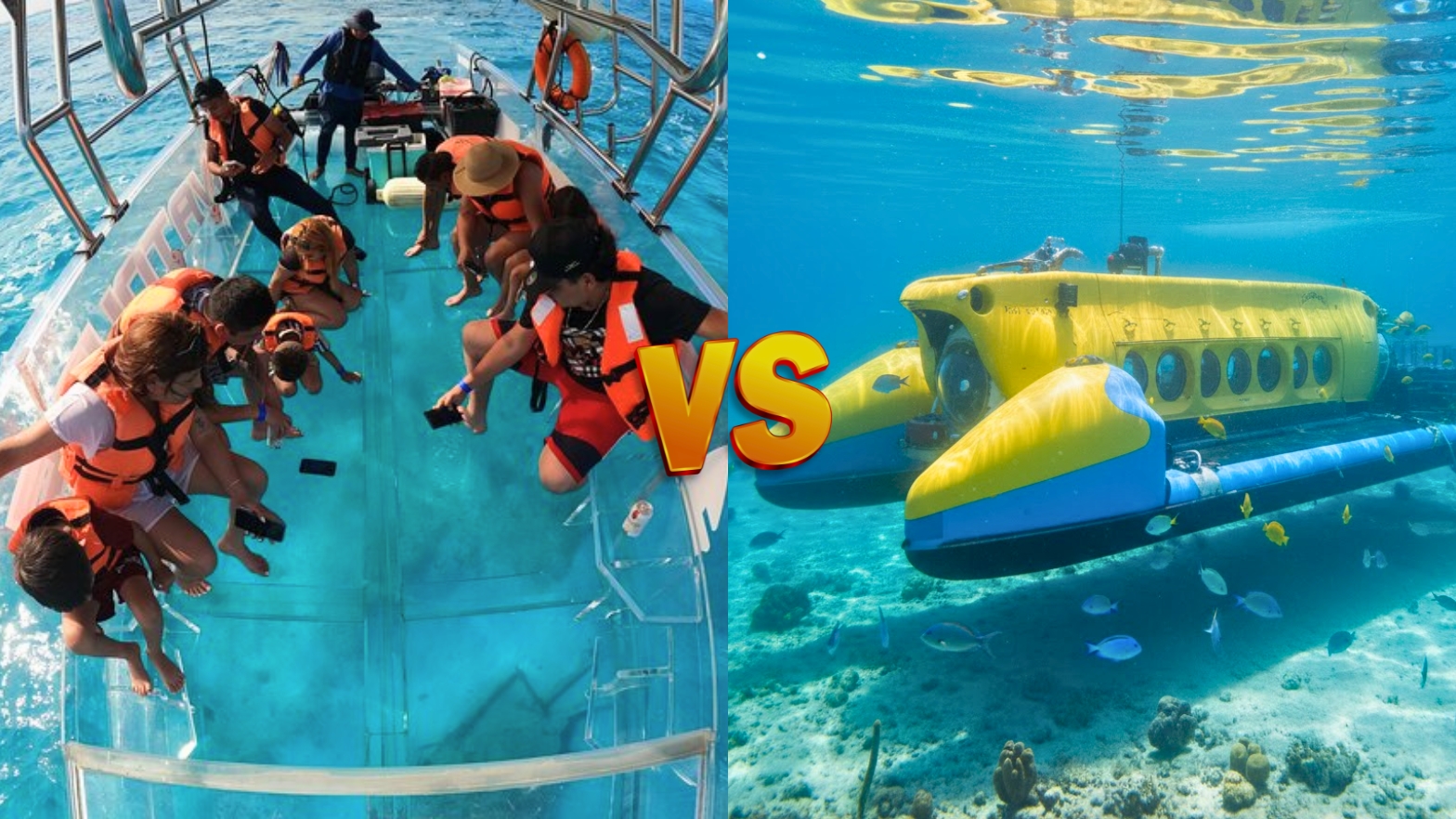 Submarine Tours vs Glass-Bottom Boats – Which Offers the Best View